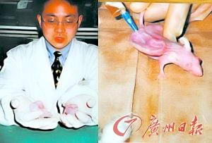 2001�궡С���ڲ�����ָ���¹������˶�ģ�͡�