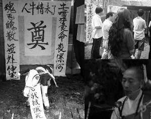 奶牛场为奶牛开追悼会 称扶持资金遭截留(图)